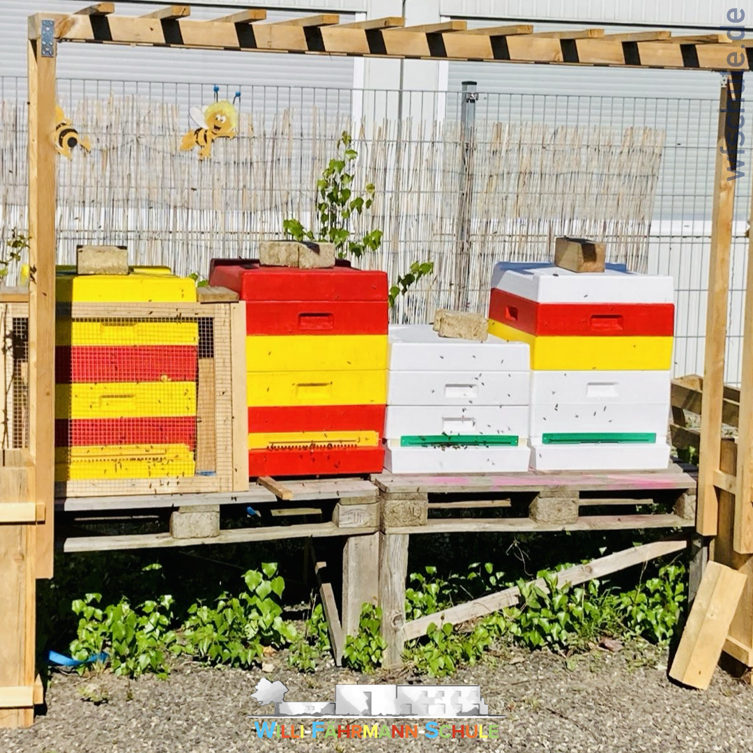 Gekommen, um zu bleiben“ – es summt überall!