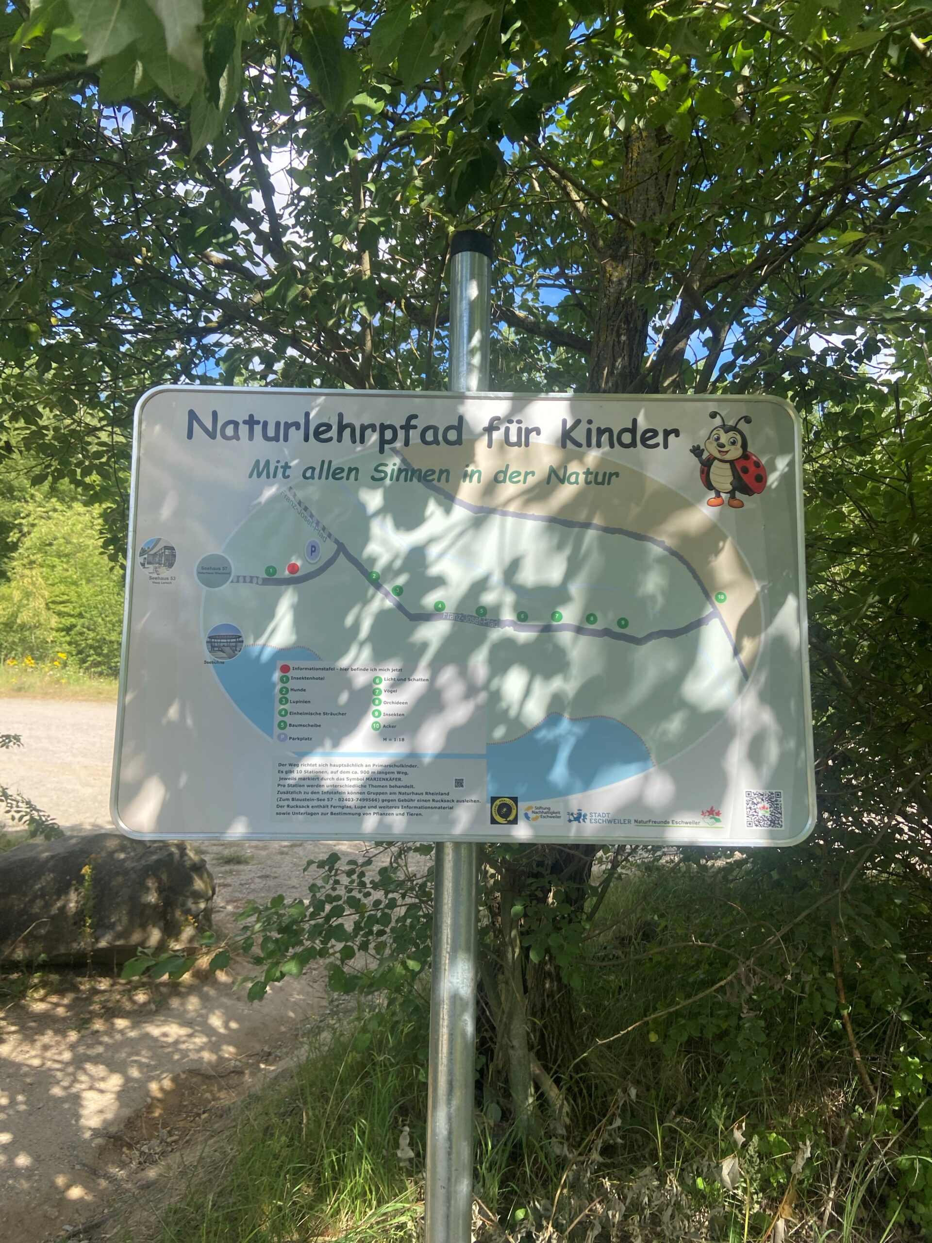M2 auf Erkundungsmission am Blausteinsee